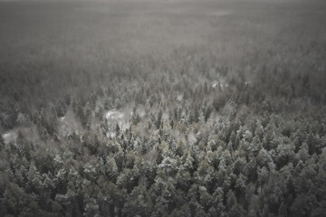 aerial photography of forest, forest and river landscape