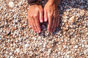 Seashells in a female palm on the background of the sea. Top view, flat lay