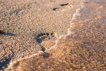 Fototapeta na wymiar Footprint on the sandy beach is washed by the wave