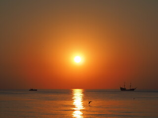Fototapeta na wymiar Orange sunset with ship and gulls