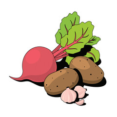 Beets, garlic, potatoes. Vector 3d sketch line isometric, color icon illustration, flat style. Creative design idea and elements for infographics and website.