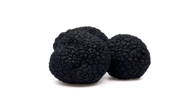 Three black truffle mushrooms are rotating. Isolated on white background.