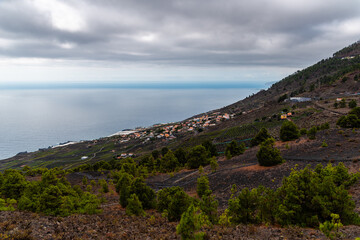 Fototapeta premium Volcanic landscape, hillside in Fuencaliente, La Palma, Canary Islands.