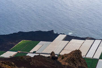 Banana plantation with greenhouses in a volcanic landscape in Fuencaliente, La Palma, Canary...