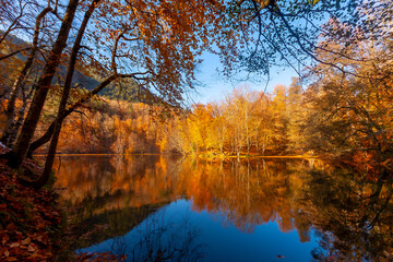 Obraz premium the most beautiful colors of autumn, Turkey