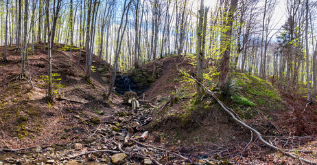 Czartów Młyn Waterfall, Bieszczady Mountains © LukaszB