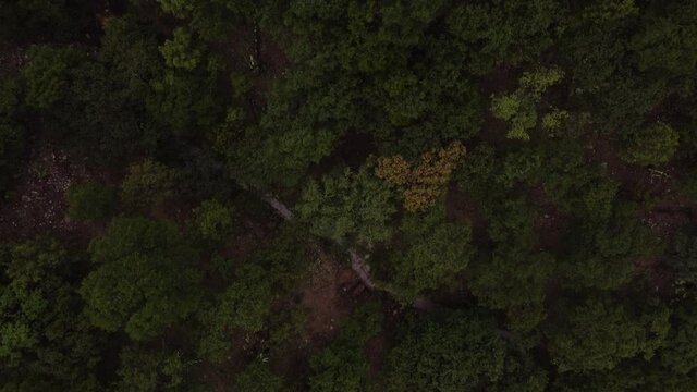 4K Vista a&eacute;rea - Sierra Fr&iacute;a de Aguascalientes, M&eacute;xico.