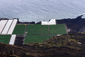 Banana plantation with greenhouses in a volcanic landscape in Fuencaliente, La Palma, Canary...