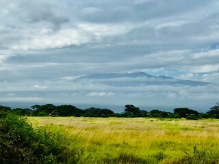field and blue sky