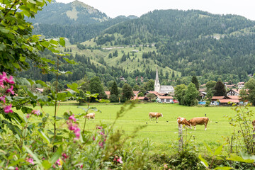 Blick auf Bayrischzell nahe Tirol