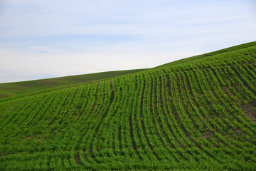 farm hill in washington