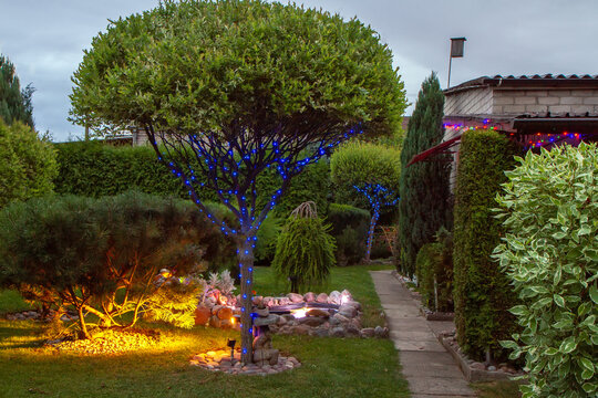 Garden illuminated by lamps