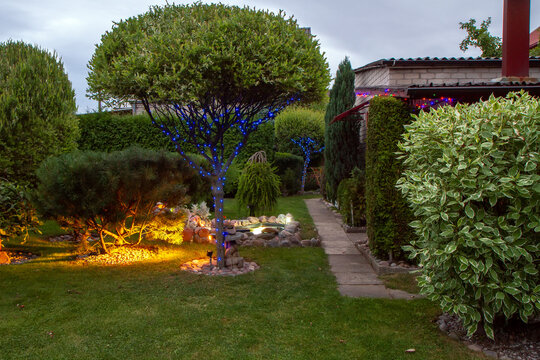 Garden illuminated by lamps