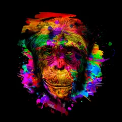 Foto op Canvas Colorful artistic monkey's head on white background with colorful creative elements © reznik_val