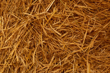 background texture of hay yellow
