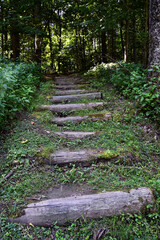 Wooden and earthen steps lead up a hill on a forested hiking trail
