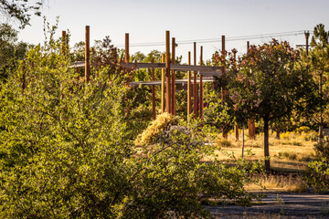 Rail Park Structures