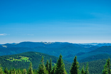 green cone-shaped treetops against the backdrop of mountains and blue sky. High quality photo