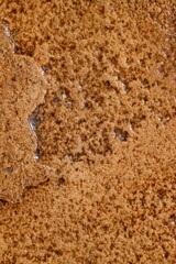 Rustic abstract background. Earthy colours. Concept of background, abstract, texture, natural tones, Africa.