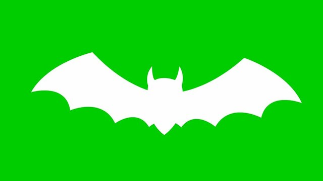 Animated white bat flies. Looped video. Concept og Halloween, Black friday. Vector illustration isolated on a green background.