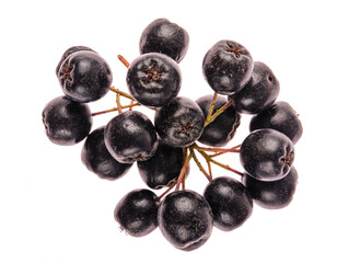 Fresh Aronia Berries On White Background. Chokeberry isolated on white background. Black aronia