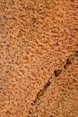 Rustic abstract background. Earthy colours. Concept of background, abstract, texture, natural tones, Africa.