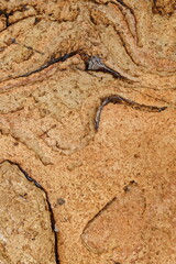 Rustic abstract background. Earthy colours. Concept of background, abstract, texture, natural tones, Africa.