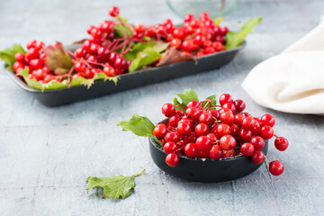 Ripe viburnum berries with leaves in a bowl on the table. Wellness, Alternative Medicine and Vitamin Nutrition