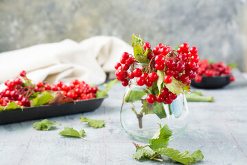 Branches with ripe viburnum berries and leaves in a jar and on a substrate in the background on the table. Wellness, Alternative Medicine and Vitamin Nutrition