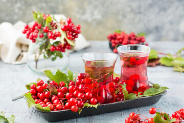 Infusion of viburnum berries in glasses and twigs with berries and viburnum leaves on a substrate on the table. Alternative medicine, wellness and vitamin nutrition