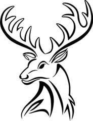 Hirsch mit großem Geweih