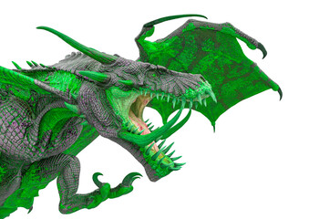 master dragon in white background close up