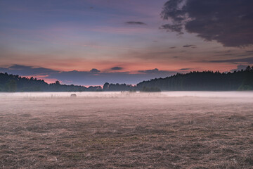 Wieczorne mgły nad łąkami. © boguslavus