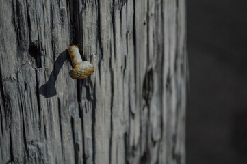 Nail in pole