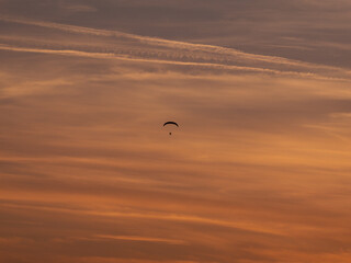 Flying in the Sunset.