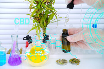 medical marijuana laboratory scientific research, green cannabis plants, extract production...