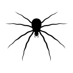 Spooky spider silhouette. Poisonous black karakurt insect prepares to attack victim. Black widow lurking in ambush. Halloween creep vector symbol