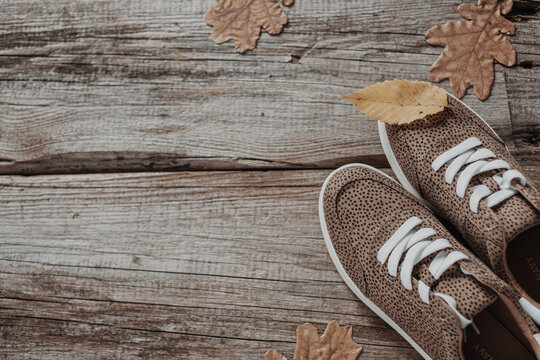 Autumn season in hipster style shoes. autumn leaves on wooden background , flat lay with space for text.