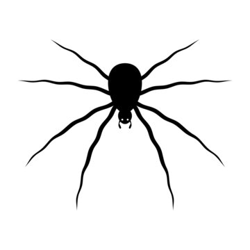 Spooky spider silhouette. Poisonous black karakurt insect prepares to attack victim. Black widow lurking in ambush. Halloween creep vector symbol