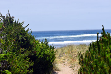 Fototapeta na wymiar Sandy trail overlooking Oregon beach