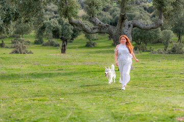 Naklejka na ściany i meble woman walking through an oak forest with a siberian husky