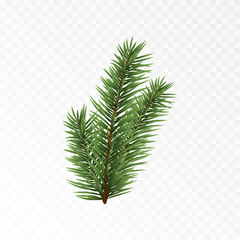 Vector spruce branch. Spruce branches png, pine, spruce. Christmas decorations. - obrazy, fototapety, plakaty