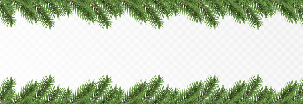 Vector fir branches. Spruce branches png, pine, spruce. Christmas decorations, Christmas background.
