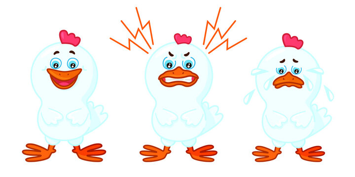 angry white chicken colorful vector illustration.  Animals emotions image.