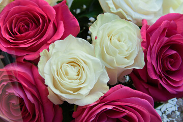 A bouquet of fresh roses. Festive gift flowers for the hero of the day.