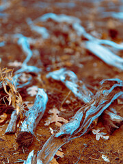 Abstract Shot - Blue Meets Brown