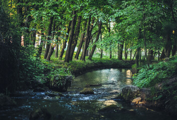 A small river in the city park