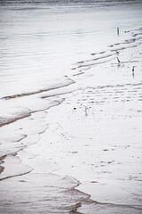 A white crane stood by the river