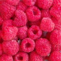 Full frame close-up view of fresh raspberries
