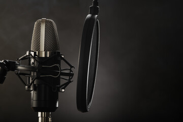 Professional microphone and pop filter on a dark gray background. minimalism. No people. Recording studio, singing, music, clear sound, concert, nightclub. - obrazy, fototapety, plakaty